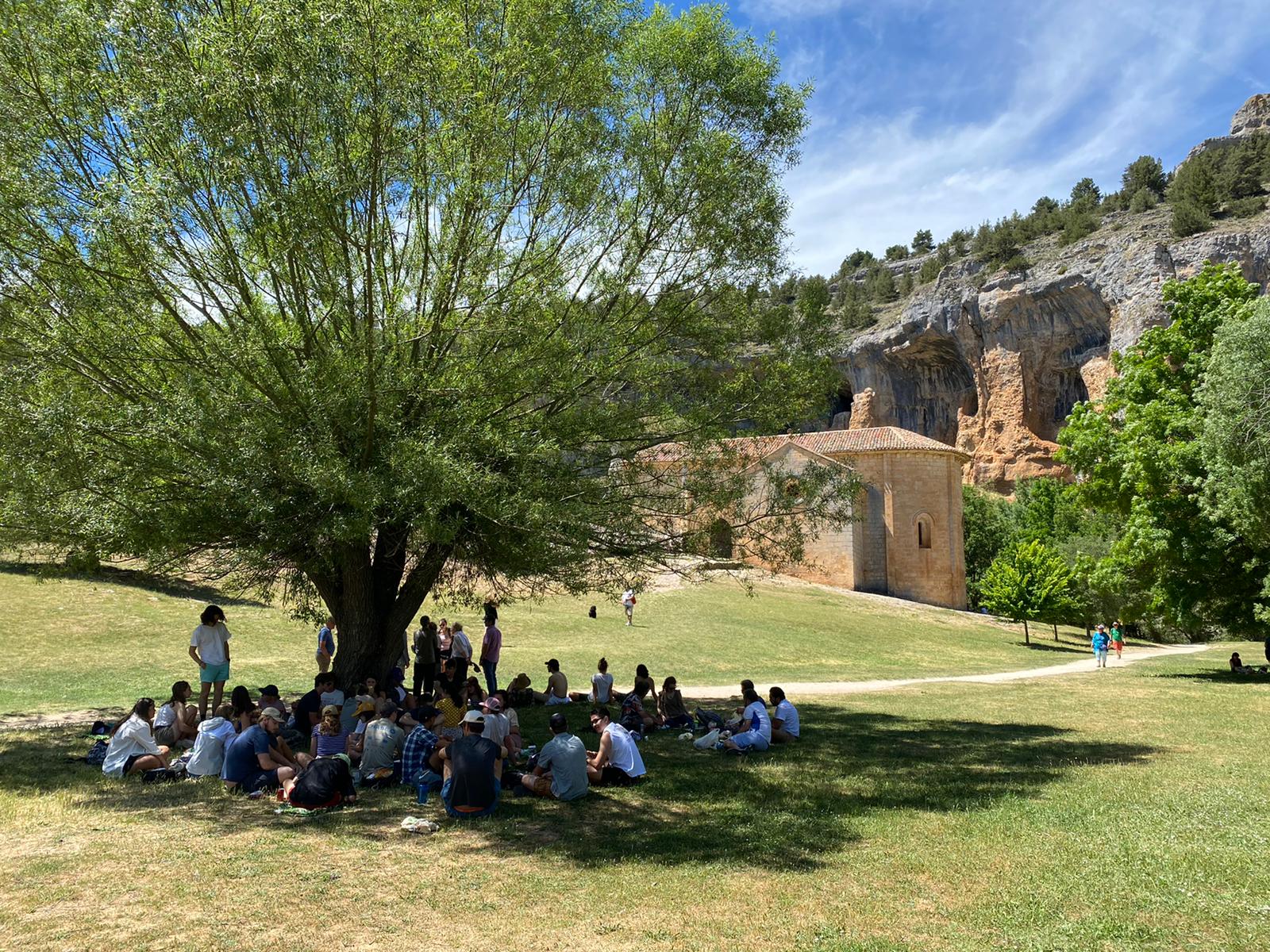Students eat lunch under the shade of a tree which stands alone in a clearing within Cañón del Rio Lobos 